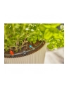 GARD-ENA Micro-Drip-System Drip Irrigation Set Terrace, 30 plants, drippers (Kolor: CZARNY/grey, model 2023) - nr 18