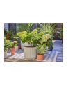 GARD-ENA Micro-Drip-System Drip Irrigation Set Terrace, 30 plants, drippers (Kolor: CZARNY/grey, model 2023) - nr 19