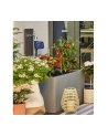 GARD-ENA Micro-Drip-System Drip Irrigation Set Terrace, 30 plants, drippers (Kolor: CZARNY/grey, model 2023) - nr 20