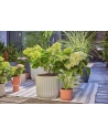 GARD-ENA Micro-Drip-System Drip Irrigation Set Terrace, 30 plants, drippers (Kolor: CZARNY/grey, model 2023) - nr 4