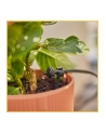 GARD-ENA Micro-Drip-System drip irrigation set balcony, 15 plants, drippers (Kolor: CZARNY/grey, model 2023) - nr 10