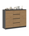 top e shop Komoda 2D4S 120x40xH97 antracyt/artisan - nr 10