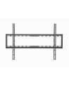 GEMBIRD Uchwyt ścienny do telewizora 37-70inch do 35 kg - nr 1