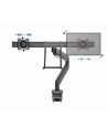 GEMBIRD Biurkowe regulowane ramie na dwa monitory 17-35inch obciążenie do 10kg - nr 28
