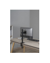 GEMBIRD Biurkowe ramię dla monitora regulowane 17-32inch do 9kg - nr 18