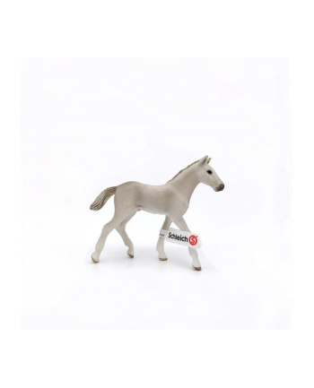 Schleich 17079 Źrebię rasy Holstener Hohlen