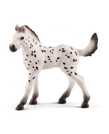 Schleich 17076 Koń Knapstrupper źrebię