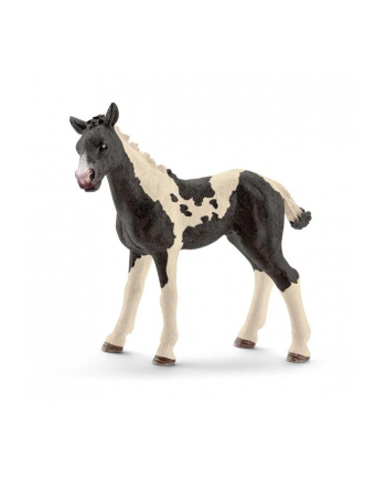 Schleich 17084 Łaciaty źrebak