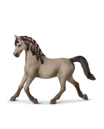 Schleich 72154 Klacz arabska exclusive