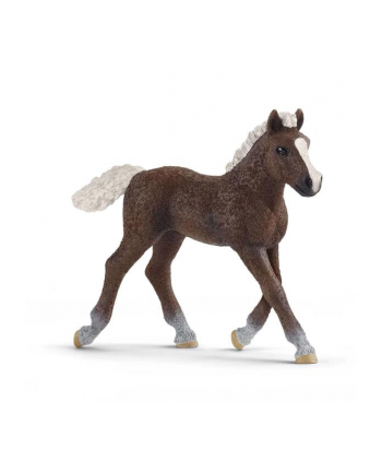 Schleich 17077 Źrebię rasy szwarcwaldzkiej