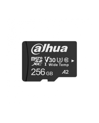 Karta pamięci Dahua W100 microSD 256GB