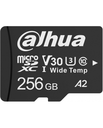 Karta pamięci Dahua W100 microSD 256GB