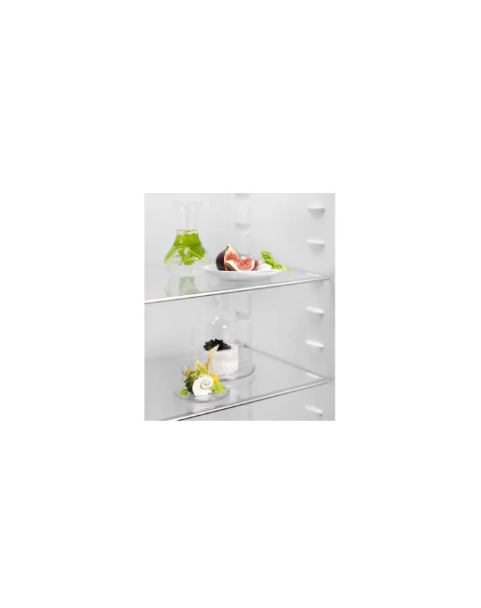 Chłodziarka ELECTROLUX LRB3AE12S główny