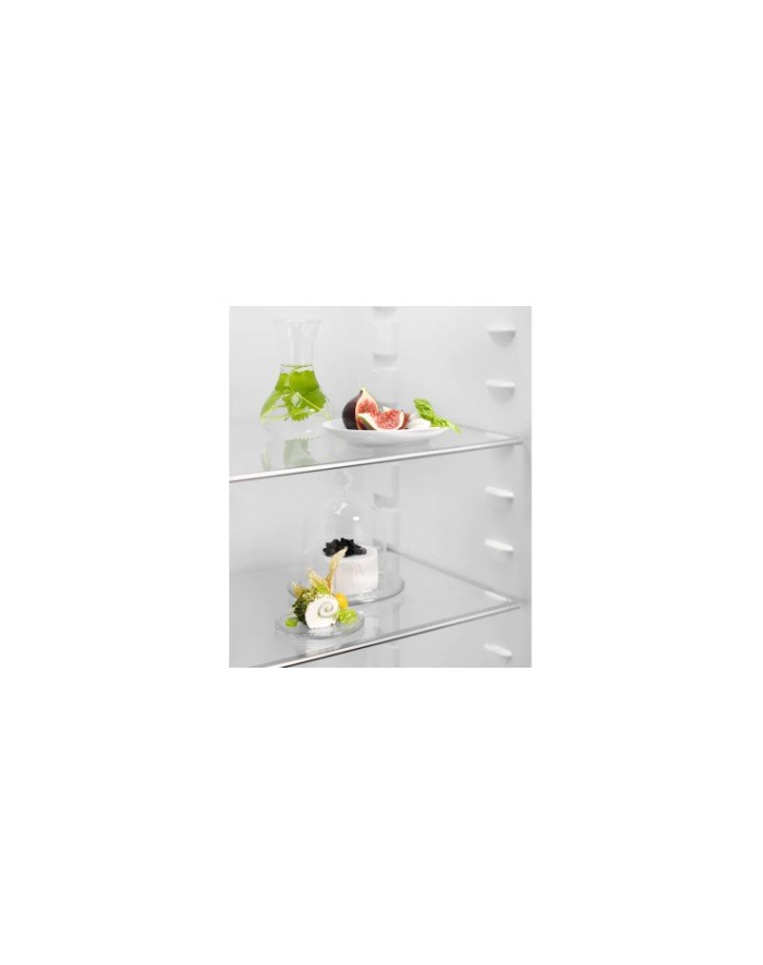 Chłodziarka ELECTROLUX LRB3AE12S główny