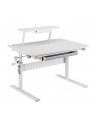 ergo office Biurko dla dzieci z regulacją wysokości max 40kg ER-483 Szare - nr 1
