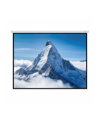 ART HAND SCREEN 96inch 244x244cm MA-96 1:1 nr 1