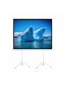 ART MANUAL SCREEN ON A TRIPOD 140inch 254x254cm TA-140 1:1 double tripod - nr 1