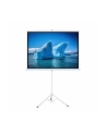 ART MANUAL SCREEN ON A TRIPOD 84inch 213x213cm TA-84 1:1 - nr 1