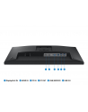 SAMSUNG LS24C430GAUXEN 24inch FHD IPS 250cd/2 4ms 100Hz D-Sub HDMI DP USB HUB HAS - nr 6