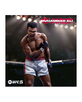 Gra PlayStation 5 EA SPORTS UFC 5