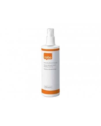Plyn czyszczący ECERYDAY 250 ml