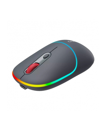 CANYON MW-22, 2 in 1 Wireless optical mouse with 4 buttons,Silent switch for right/left keys,DPI 800/1200/1600, 2 mode(BT/ 2.4GHz),  650mAh Li-poly battery,RGB backlight,Dark grey, cable length 0.8m, 110*62*34.2mm, 0.085kg