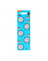 Baterie litowe CR2430 Vinnic 5 szt. - nr 1