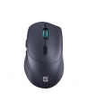 Mysz bezprzewodowa Defender EFFECT X MS-095 optyczna bezklikowa silent 1600dpi czarna - nr 2