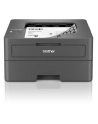 Brother HL-L2445DW Laser Mono Wi-Fi - nr 32