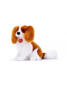 dante Maskotka Pies Cavalier King M 22335 TRUDI - nr 1