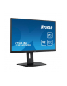 iiyama Monitor 23.8 cala XUB2492HSU-B6 IPS,HDMI,DP,VGA,100Hz,PIVOT,USB,HAS/150mm - nr 82