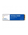 western digital Dysk SSD WD Blue 250GB SN580 NVMe M.2 PCIe Gen4 - nr 7