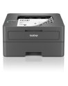 Brother HL-L2445DW Laser Mono Wi-Fi - nr 23