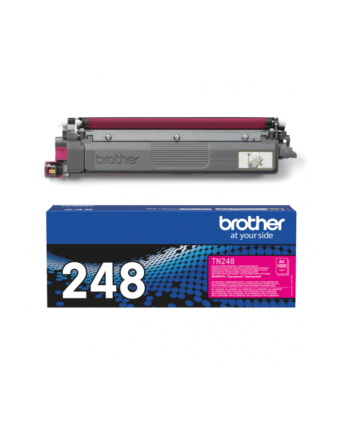 Brother TN-248M Magenta główny