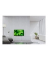 Sony    KD32W800P1AEP - nr 5
