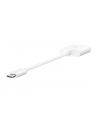 BELKIN ADAPTER 35MM AUDIO + USB-C CHARGE ADAPTER - nr 31