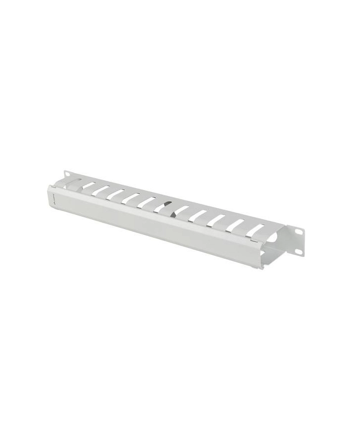 Organizer kabli Lanberg AK-1704-S 19'' 1U z zaślepką typ A szary główny
