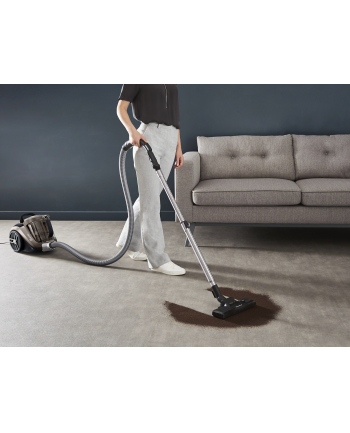 Rowenta Compact Power XXL Animal RO4B50, floor vacuum cleaner (grey/Kolor: CZARNY)