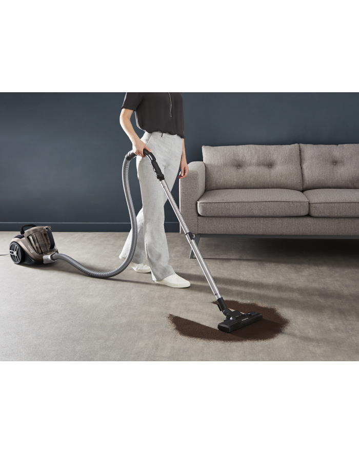 Rowenta Compact Power XXL Animal RO4B50, floor vacuum cleaner (grey/Kolor: CZARNY) główny