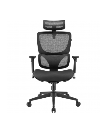 Sharkoon office chair OfficePal C30, gaming chair (Kolor: CZARNY)