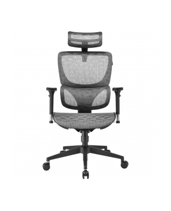 Sharkoon office chair OfficePal C30M, gaming chair (grey)