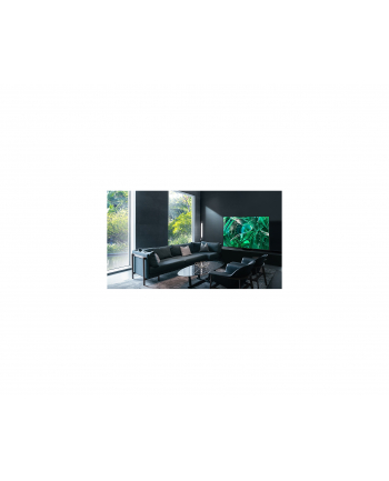 SAMSUNG GQ-65S95C, OLED TV (163 cm (65 inches), Kolor: CZARNY, UltraHD/4K, Twin Tuner, SmartTV, 100Hz panel)