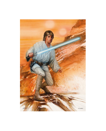 schmidt spiele Schmidt Games Star Wars - Fearless (1000 pieces)