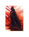 Schmidt Spiele Star Wars - The Sith, Jigsaw Puzzle (1000 pieces) - nr 1