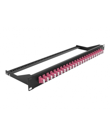 DeLOCK 19 fiber optic patch panel 24 port LC duplex (Kolor: CZARNY/purple, 1 U)