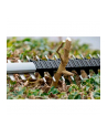 bosch powertools Bosch cordless hedge trimmer GHE 18V-60 Professional solo (blue/Kolor: CZARNY, without battery and charger) - nr 4