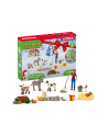 Schleich Farmworld Advent Calendar 2023, toy figure - nr 5