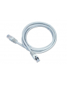 Patch cord FTP kat.6e oslonka zal. 0.25 szary - nr 9