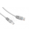 Patch cord FTP kat.6e osłonka zal. 0.5M szary - nr 13