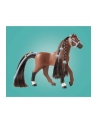 PLAYMOBIL 71355 Horses of Waterfall Zoe ' Blaze with tournament course, construction toy - nr 16
